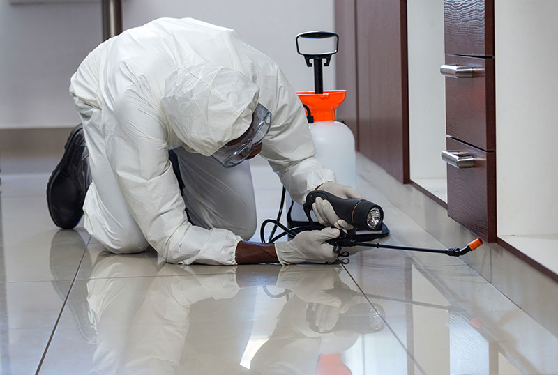 fumigation1
